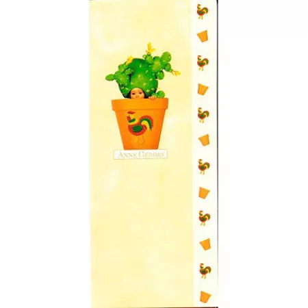 Blahopřání Anne Geddes, kaktus v oranžovém květináči bez textu
