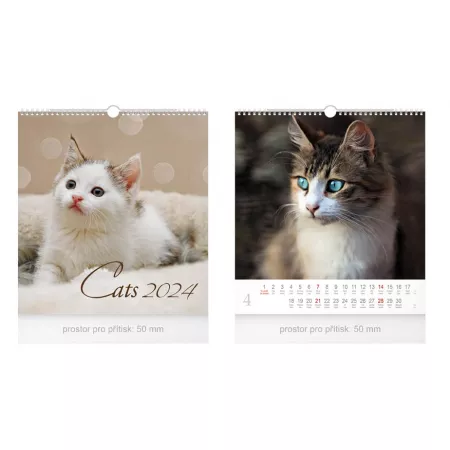 MFP kalendář 2024 nástěnný malý Cats 1061443