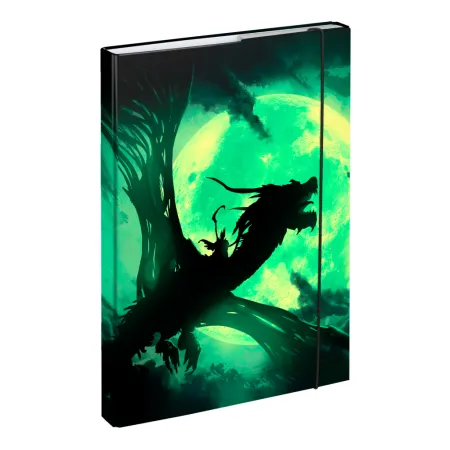 BAAGL 5 SET Ergo Drak: aktovka, penál, sáček, desky, box