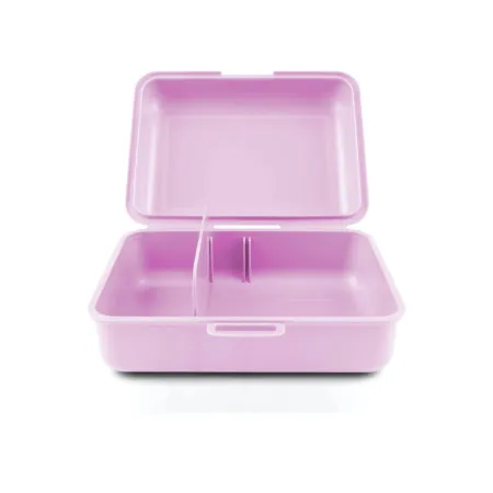 BAAGL SET 5 Ergo Chameleon: aktovka, penál, sáček, desky, box