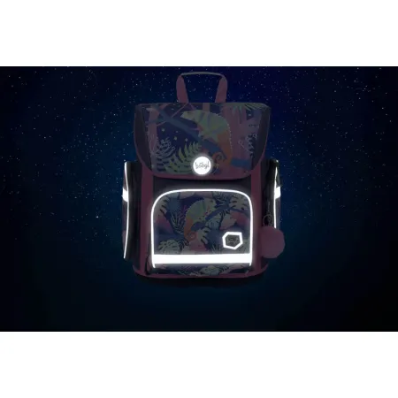 BAAGL SET 5 Ergo Chameleon: aktovka, penál, sáček, desky, box