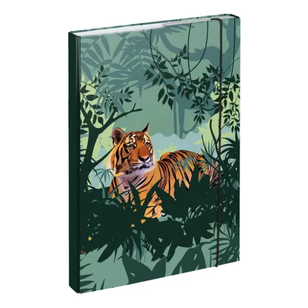 BAAGL SET 5 Ergo Tygr: aktovka, penál, sáček, desky, box