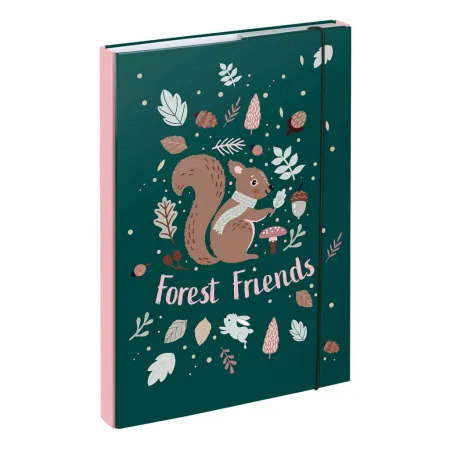 BAAGL SET 5 Ergo Veverka: aktovka, penál, sáček, desky, box