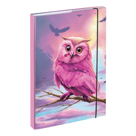 BAAGL SET 5 Zippy Sova: aktovka, penál, sáček, desky, box