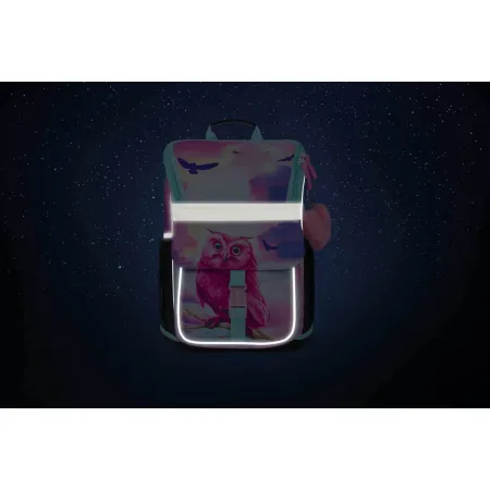 BAAGL SET 5 Zippy Sova: aktovka, penál, sáček, desky, box