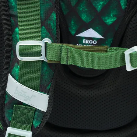 BAAGL Školní aktovka Ergo Drak