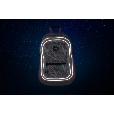 BAAGL Školní batoh Pírka