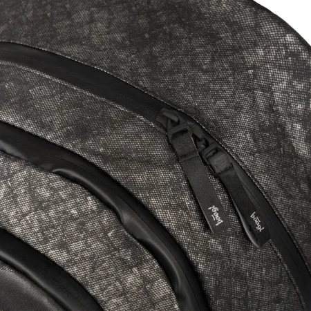 BAAGL Školní batoh Skate Ash