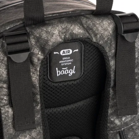 BAAGL Školní batoh Skate Ash