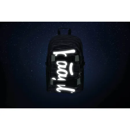 BAAGL Školní batoh Skate Grey