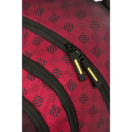 BAAGL Školní batoh Skate Harry Potter Bradavice vínový GRS