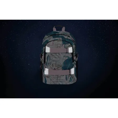 BAAGL Školní batoh Skate Leafs