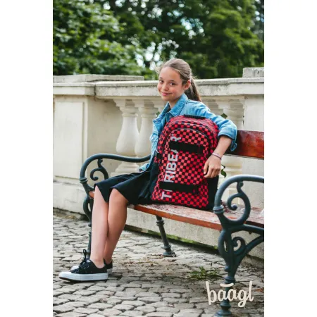 BAAGL Školní batoh Skate TERIBEAR