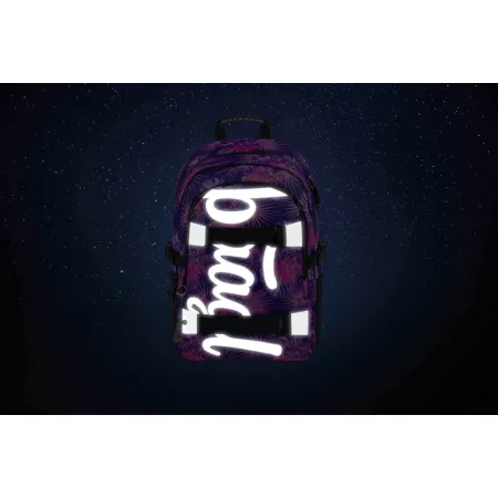 BAAGL Školní batoh Skate Violet