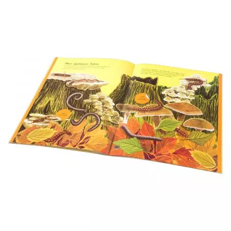 BROUČCI, MOTÝLI a další potvůrky – Kniha samolepek