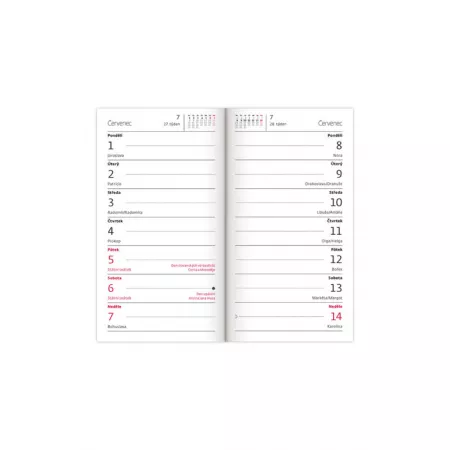 Čtrnáctidenní diář Torino bordó (PT02-03-24)