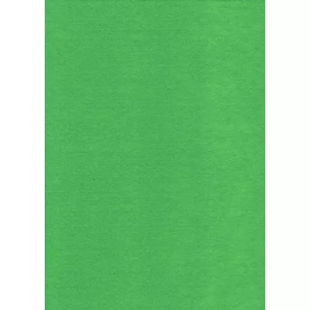 Dekorativní plsť zelený světlý YC-671