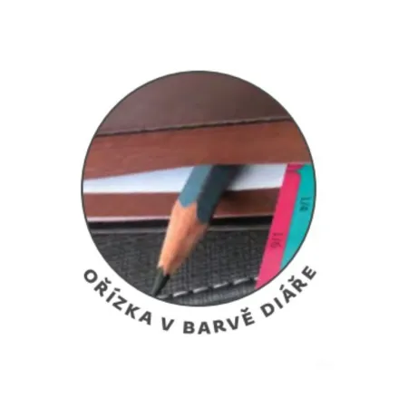 Denní diář A5 Memory tmavě modrý s gumičkou (DM422-2-26)