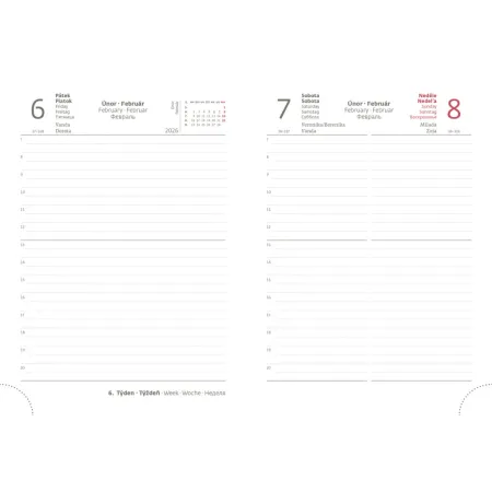 Denní diář B6 Flip černo/červený (DFL432-1-26)