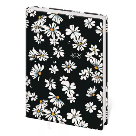 Denní diář B6 Lyra design 1-5 (DLY432-1-24)