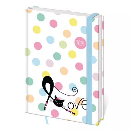 Denní diář B6 Lyra design 1-5 s gumičkou (DLY432-2-24)