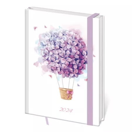 Denní diář B6 Lyra design 1-5 s gumičkou (DLY432-2-24)