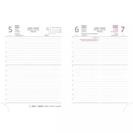 Denní diář B6 Lyra design 1-5 s gumičkou (DLY432-2-24)