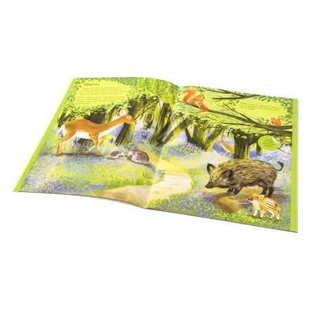 JEŽCI, UŠÁCI a další chlupáči – Kniha samolepek