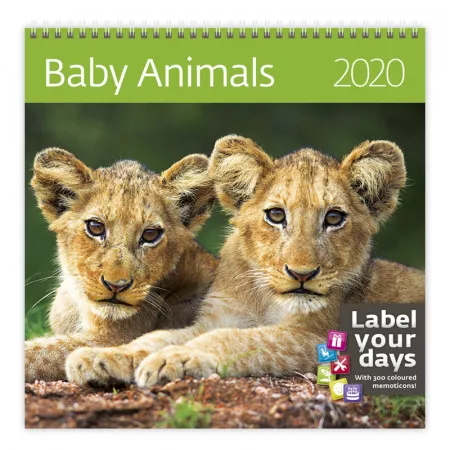 Kalendář 2020 HELMA 365 Baby Animals LP03-20