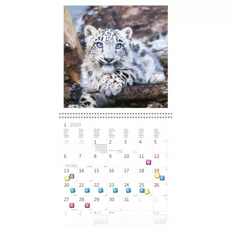 Kalendář 2020 HELMA 365 Baby Animals LP03-20