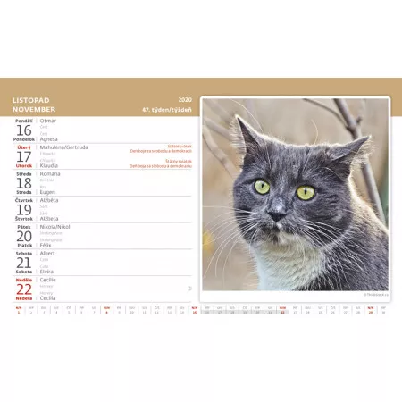 Kalendář 2020 HELMA 365 Kočky/Mačky S33-20