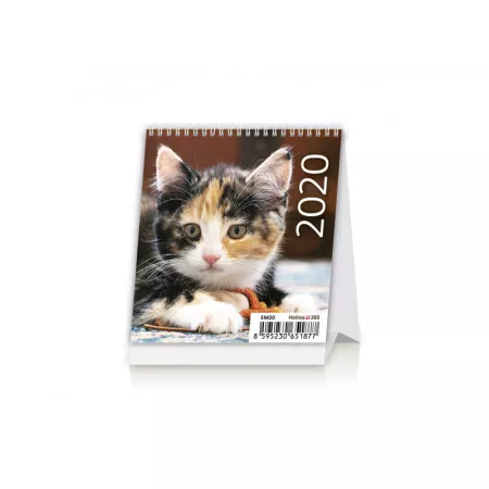 Kalendář 2020 HELMA 365 Mini Kittens SM20-20