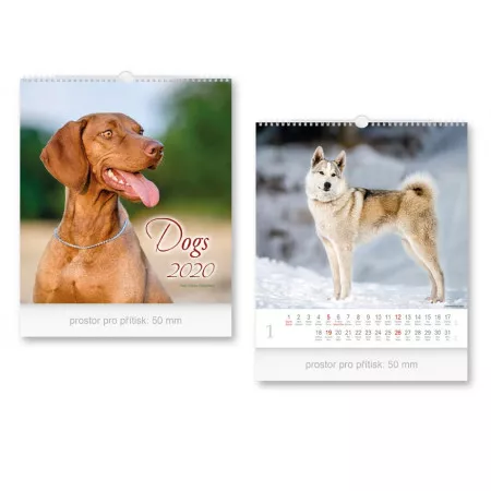 Kalendář 2020 MFP nástěnný malý Dogs