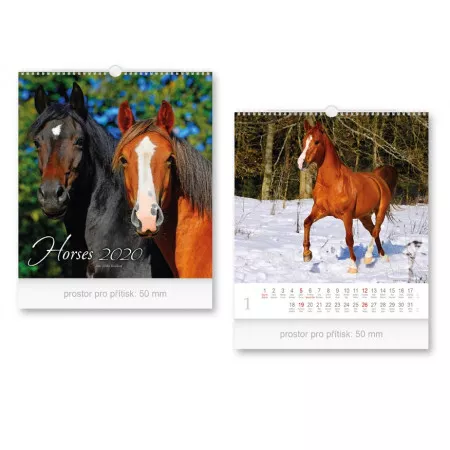 Kalendář 2020 MFP nástěnný malý Horses