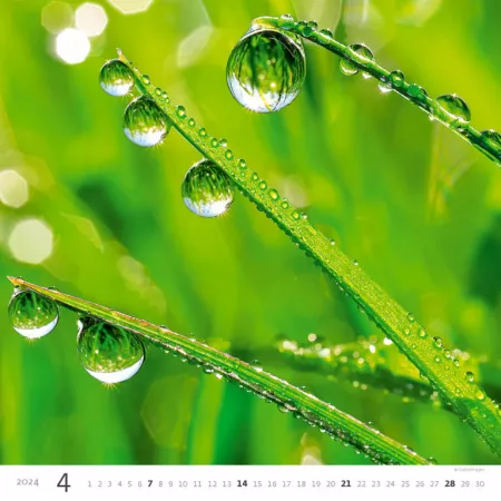 Kalendář Aqua (N167-24)