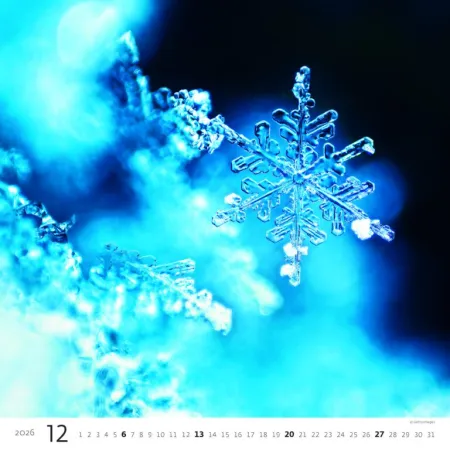 Kalendář Aqua (N172-26)