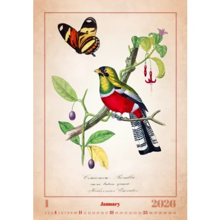 Kalendář Aviarium (N143-26)