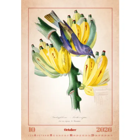 Kalendář Aviarium (N143-26)