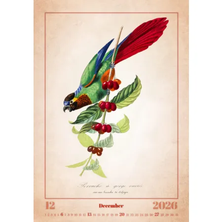 Kalendář Aviarium (N143-26)