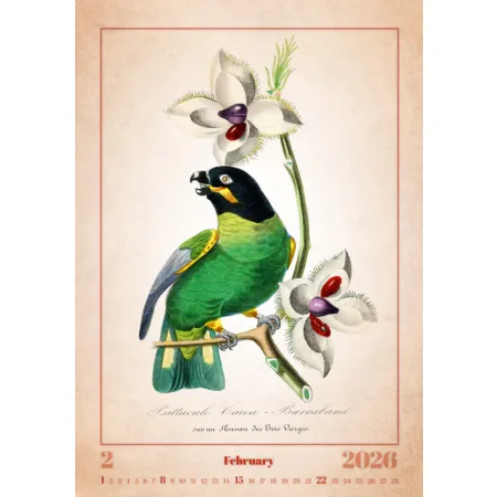 Kalendář Aviarium (N143-26)