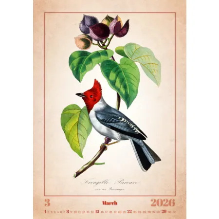 Kalendář Aviarium (N143-26)