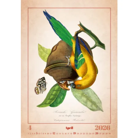 Kalendář Aviarium (N143-26)