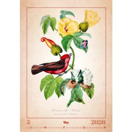Kalendář Aviarium (N143-26)