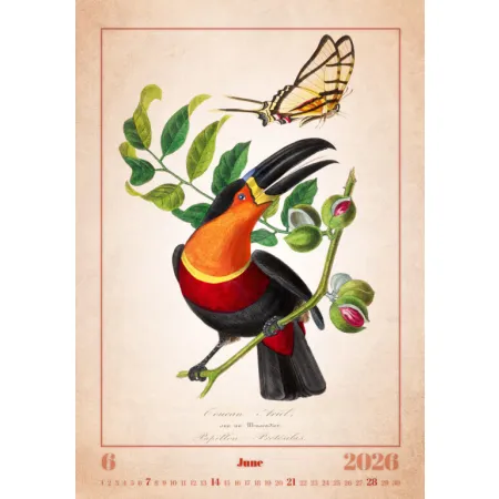 Kalendář Aviarium (N143-26)