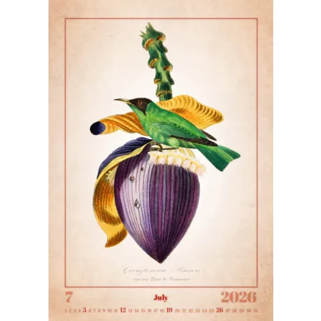 Kalendář Aviarium (N143-26)