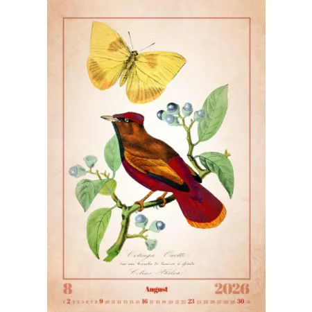 Kalendář Aviarium (N143-26)