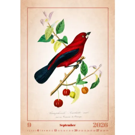 Kalendář Aviarium (N143-26)