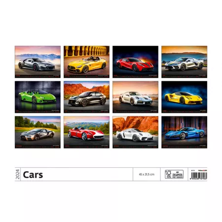 Kalendář Cars (N153-24)