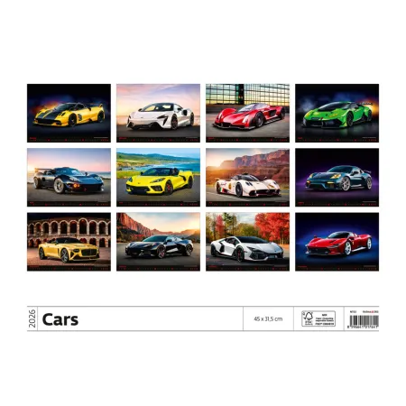 Kalendář Cars (N153-26)