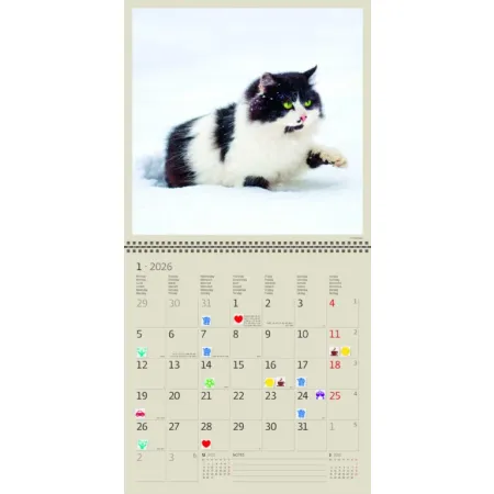 Kalendář Cats (LP01-26)